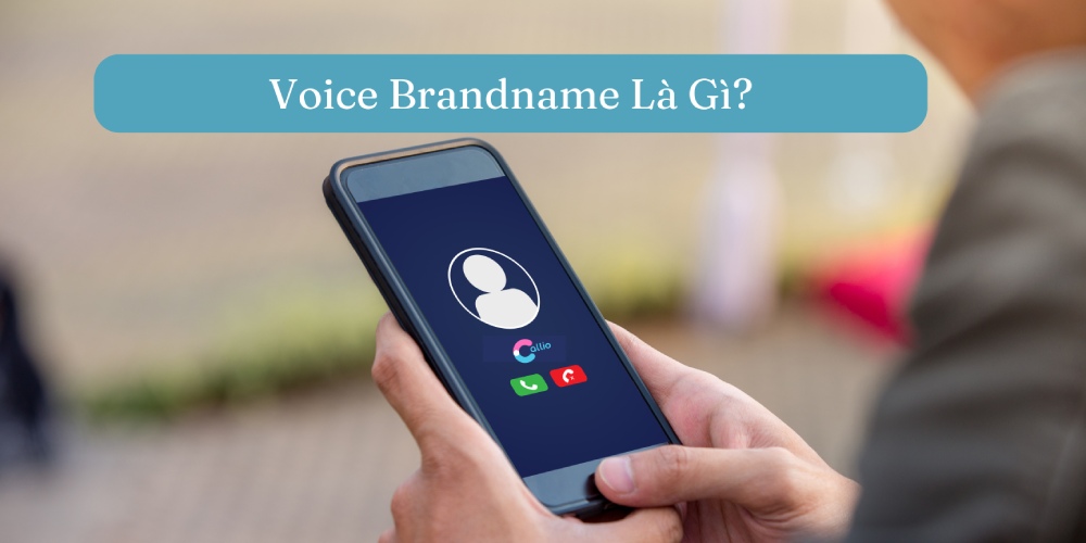 Voice Brandname là gì